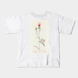 Arizona thistle - Botanical Illustration Kids T-Shirt